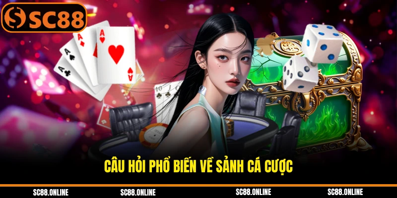 Câu hỏi phổ biến về sảnh cá cược