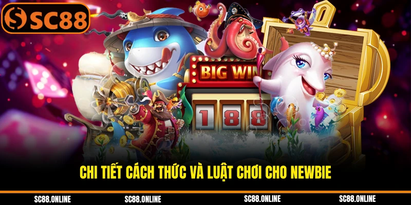 Chi tiết cách thức và luật chơi cho newbie