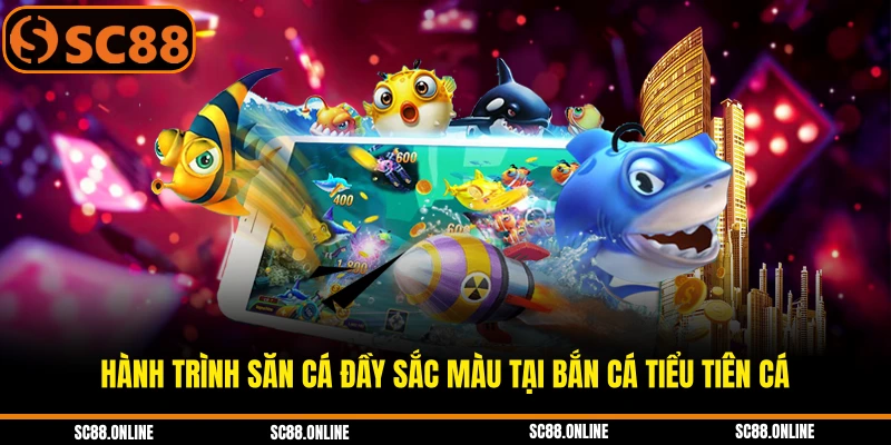 Hành trình săn cá đầy sắc màu tại bắn cá tiểu tiên cá