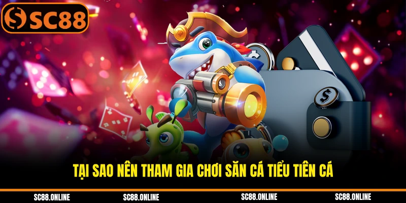 Tại sao nên tham gia chơi săn cá tiểu tiên cá