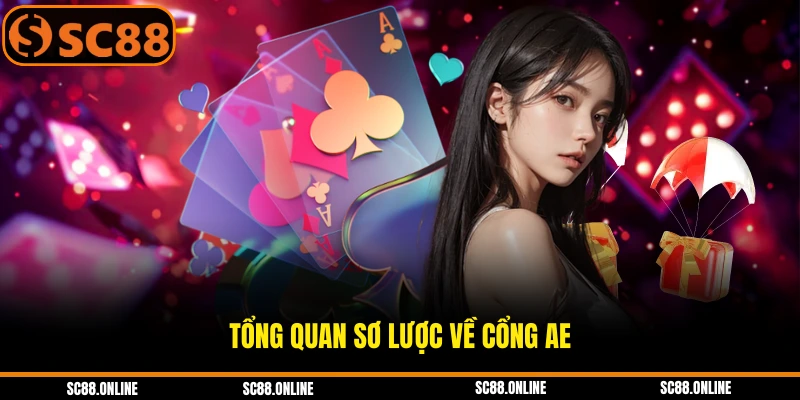 Tổng quan sơ lược về cổng AE
